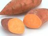 2049-tb-sweet_potato.jpg