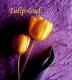 tulip soul